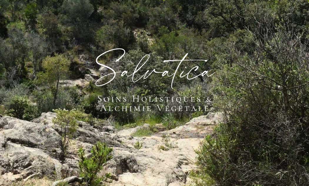 Salvatica